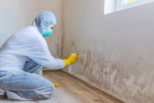Licensed Bathroom Mold Removal service in Edison, NJ - WQB Mold Removal