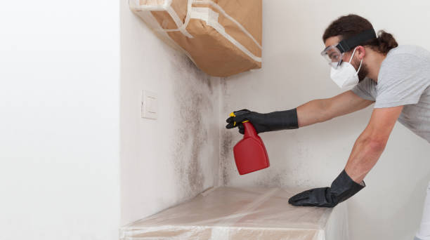 Professional Bathroom Mold Removal technician working in Edison, NJ