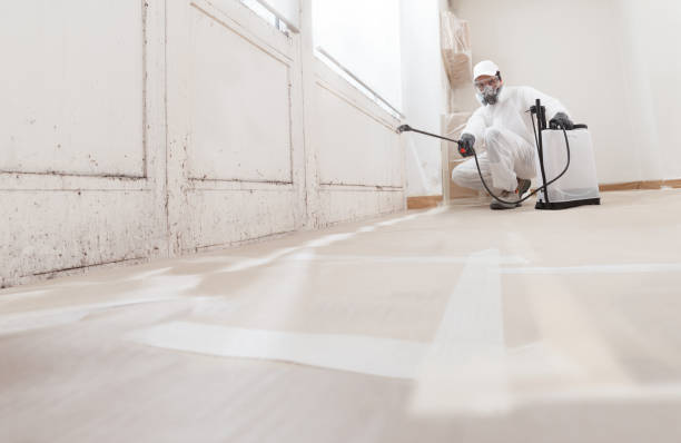 24/7 Emergency Bathroom Mold Removal experts in Edison, NJ
