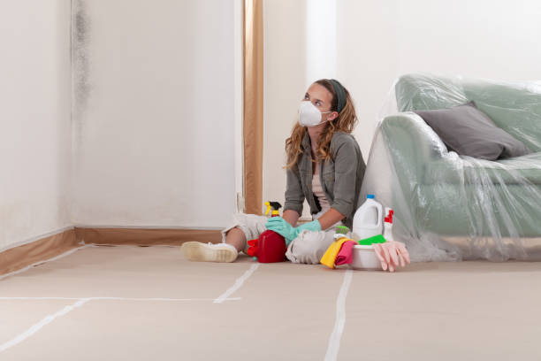 Reliable Bathroom Mold Removal contractor in Edison, NJ by WQB Mold Removal